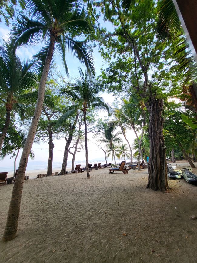 Coastfront Beachhotel in Tamarindo