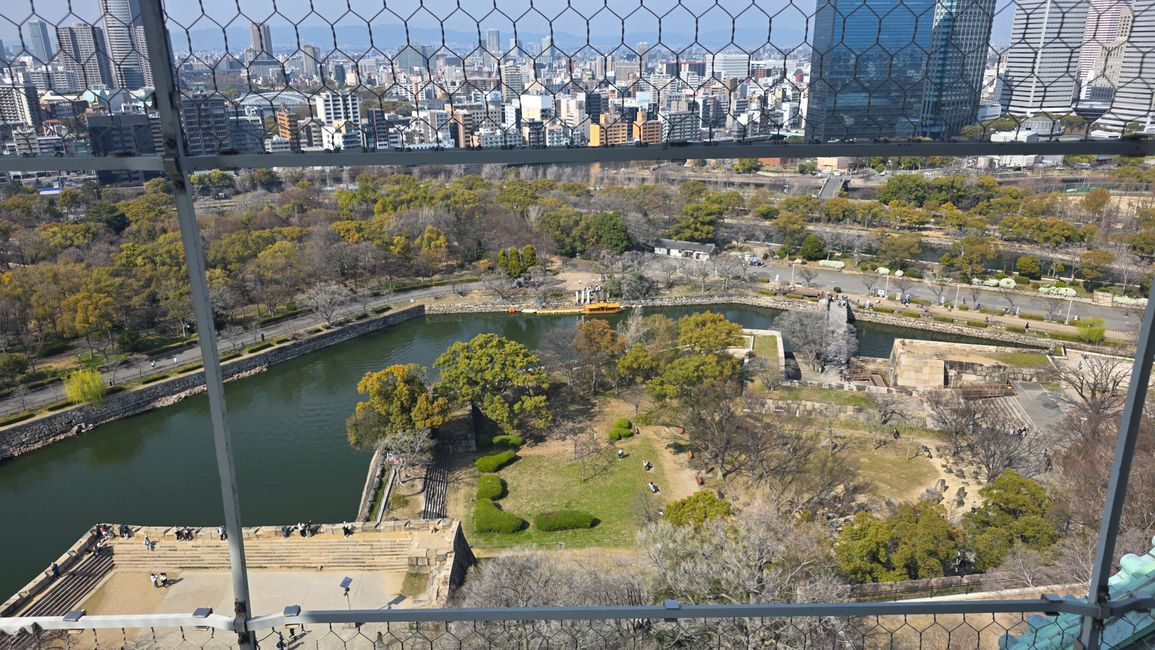 Osaka 'kuidaore' ➡️ mangiare fino a cadere