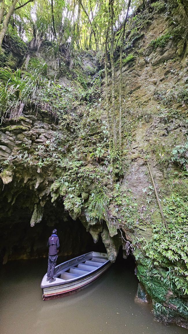 Piopio - Te Kūiti - Waitomo Caves