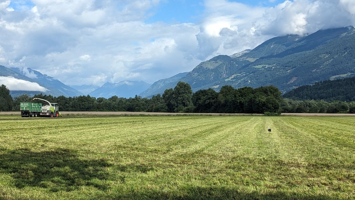 Bummeln wie die Hummeln