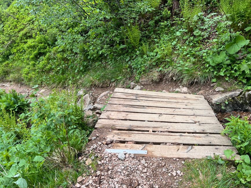 26 Feldbergsteig Escursione Pro Wolermoos