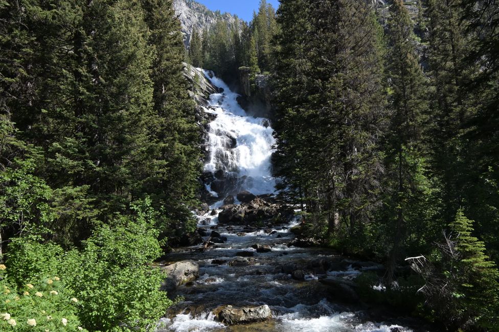 Cascade Valley Track - Hidden Falls