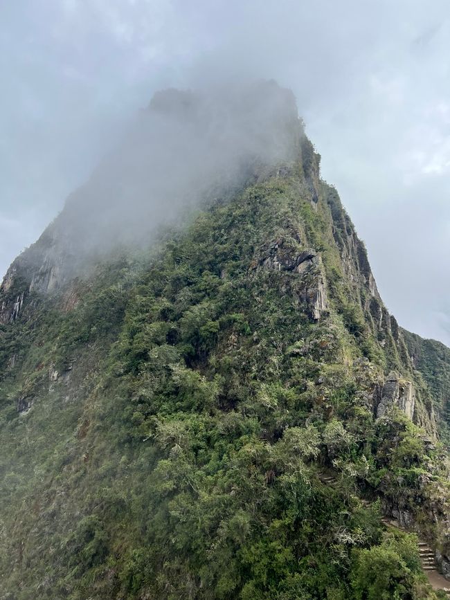 👷‍♂️标签 31-1 (3.11.) 马丘比丘，登上惠纳比丘山