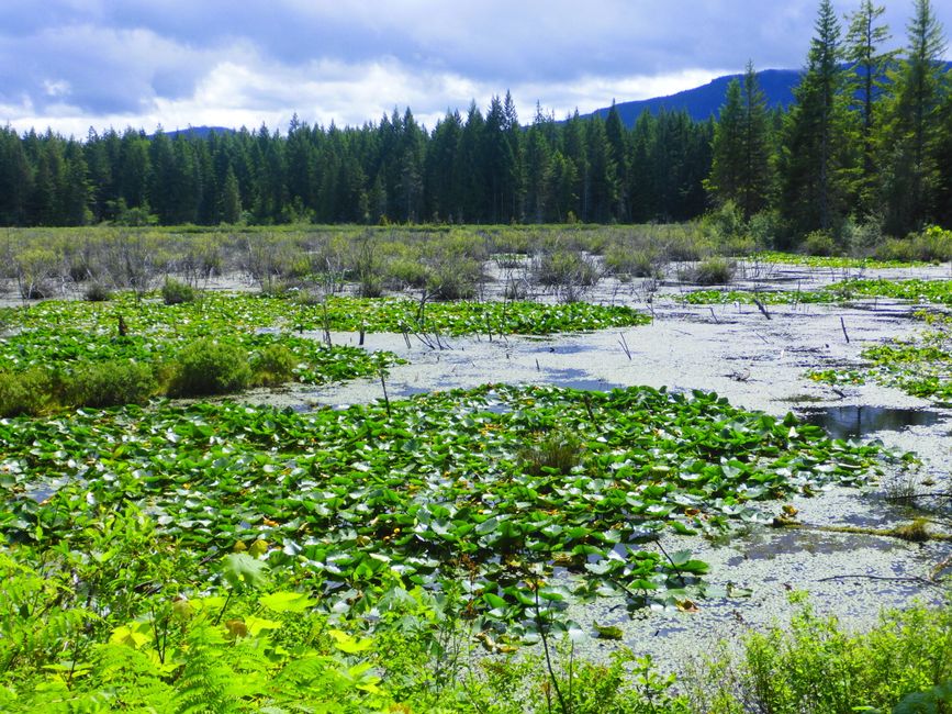 2025-05-29 Vancouver Island Cycling Tour