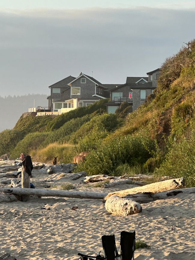 Oregon Parcific Beach