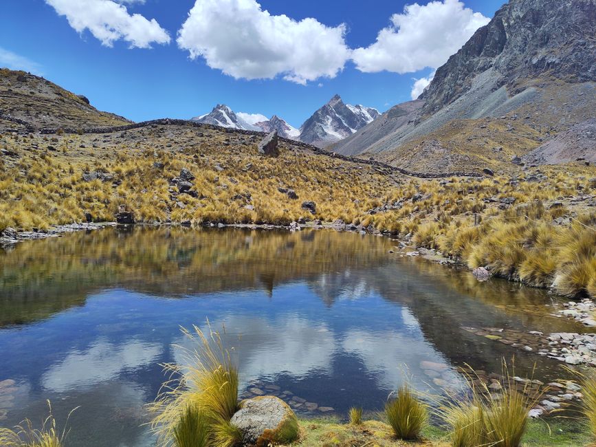 Cusco, Lares-Trek und Machu Picchu