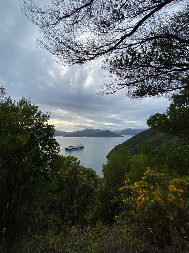 Snout Track with a view of the ferry