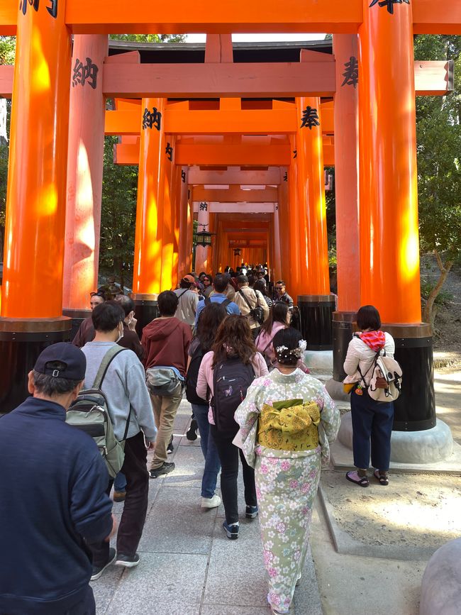 Ansturm auf die Tori