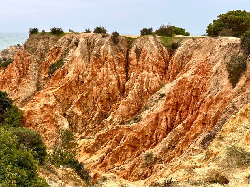 Ein Tag voller Naturgewalten und ruhiger Momente