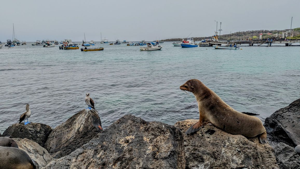 Galapagos Islands