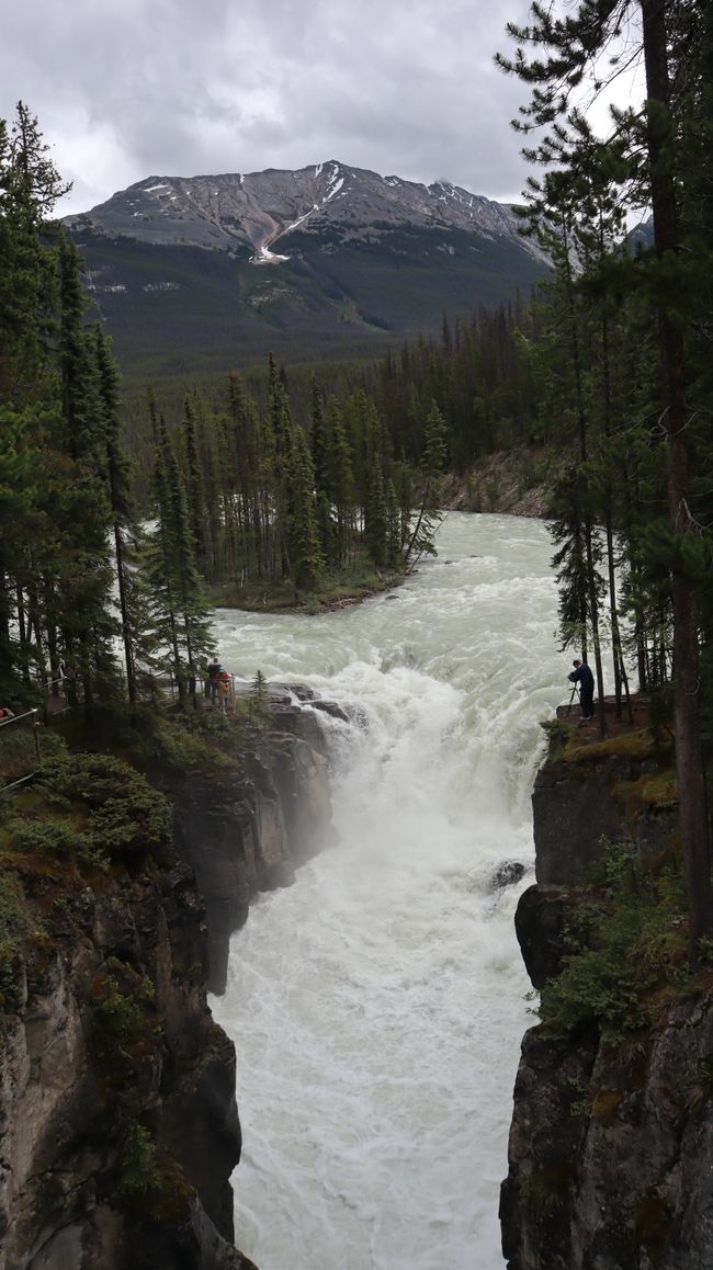 Athabasca Falls