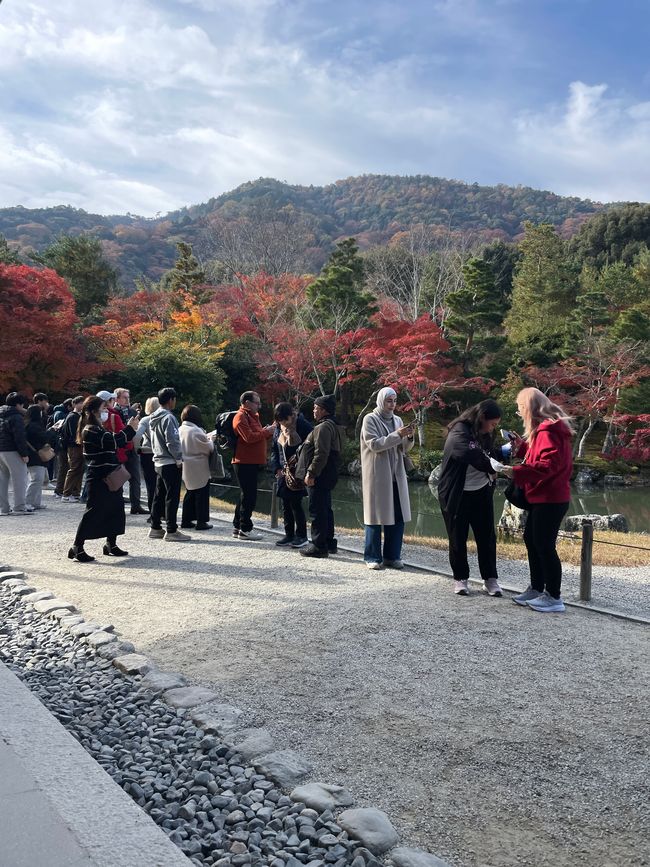 23.Kapitel: Arashiyama oder ein Tag von vorne bis hinten gelungen
