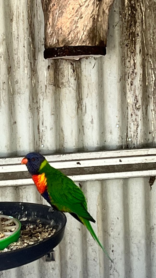 Parc des oiseaux et des animaux d'Esperance