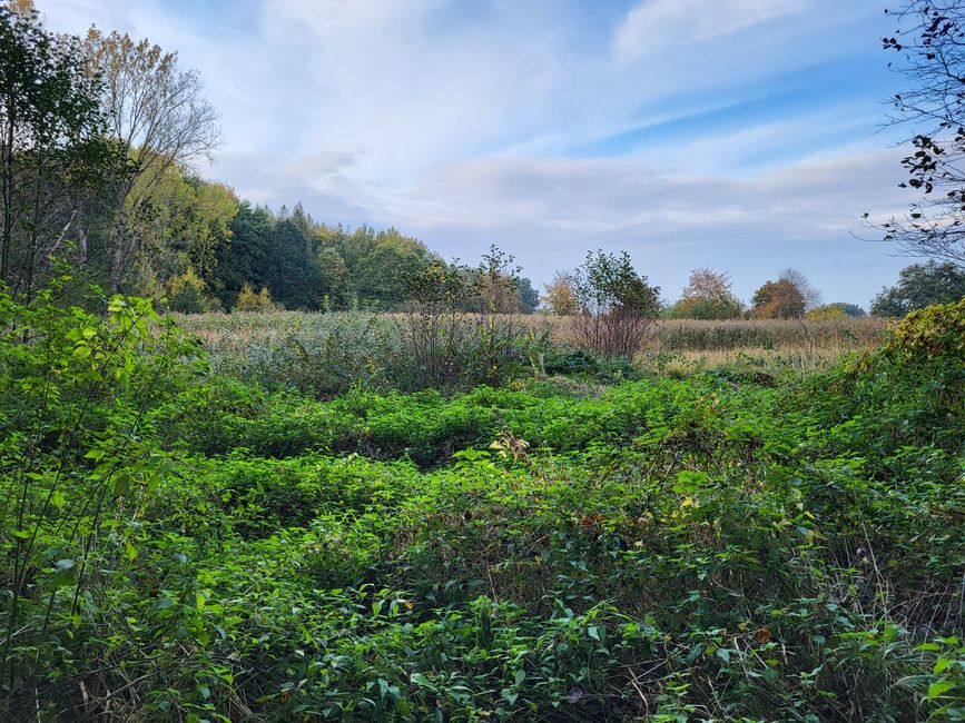 Área natural de Hüttener Klosterteiche