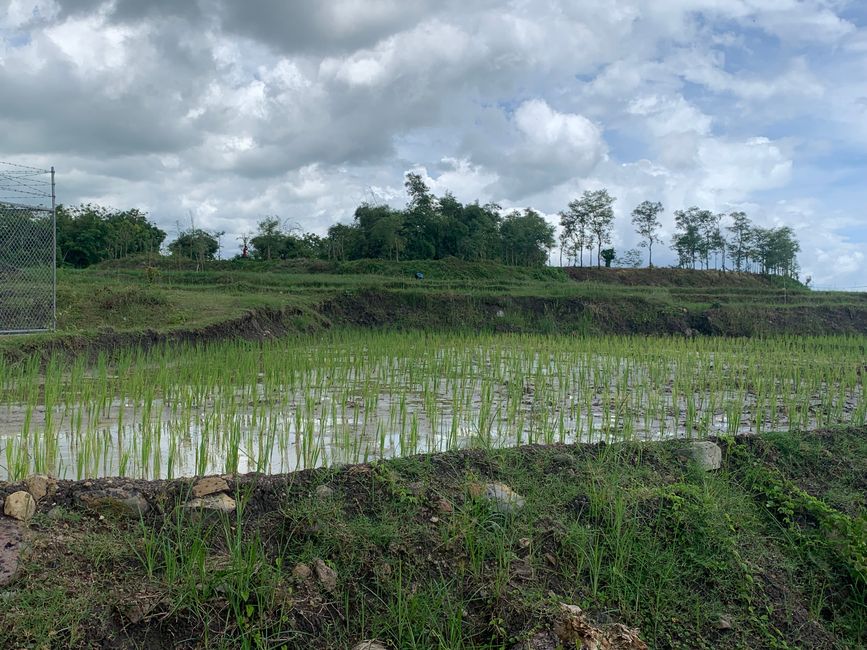 Lombok