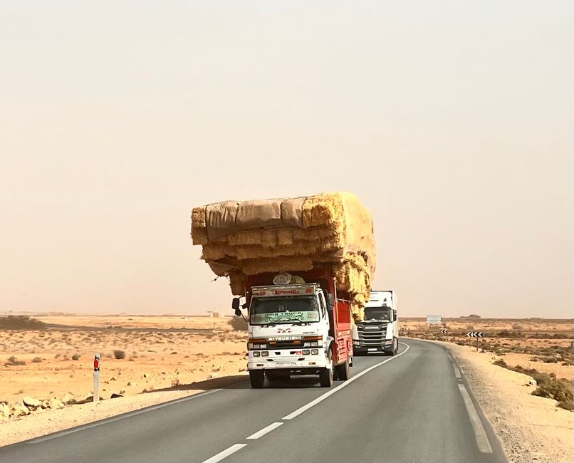 Immer wieder spannende Begegnungen auf der Straße!