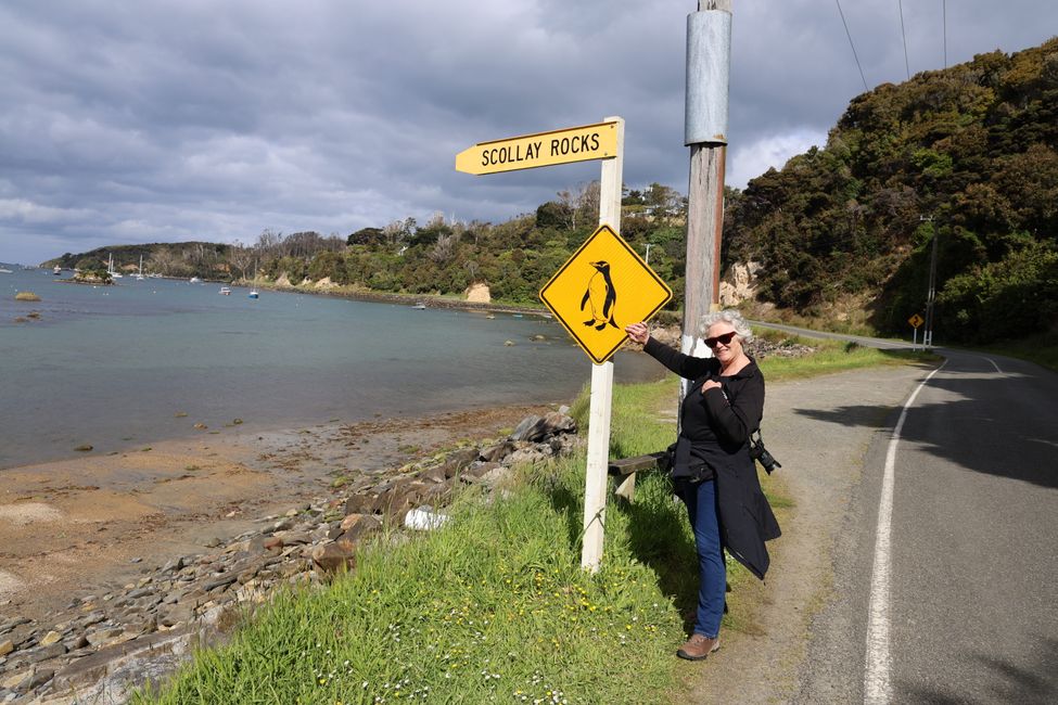 Stewart Island