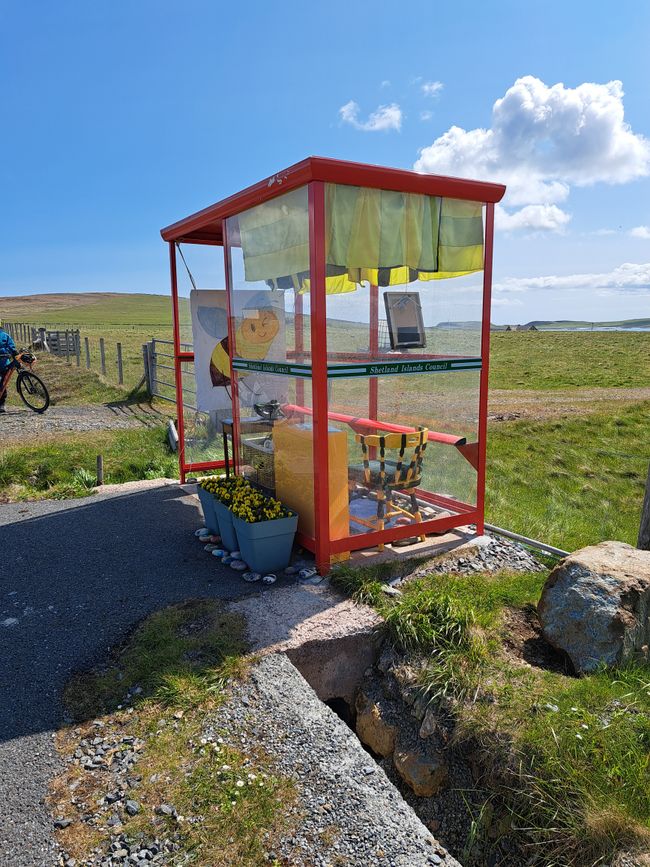 Bobbys Bus Shelter