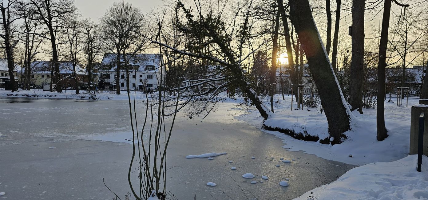 Mal Zuhause in Hildesheim ☺️ Ernst-Ehrlicher-Park am Hohnsensee