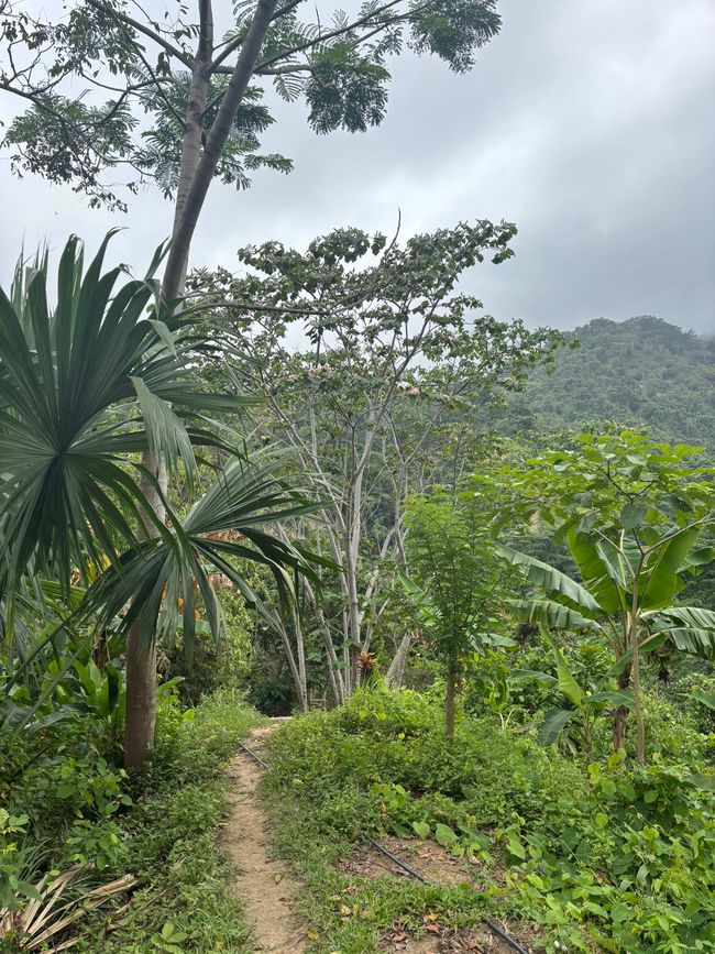Settimana 16: Santa Marta