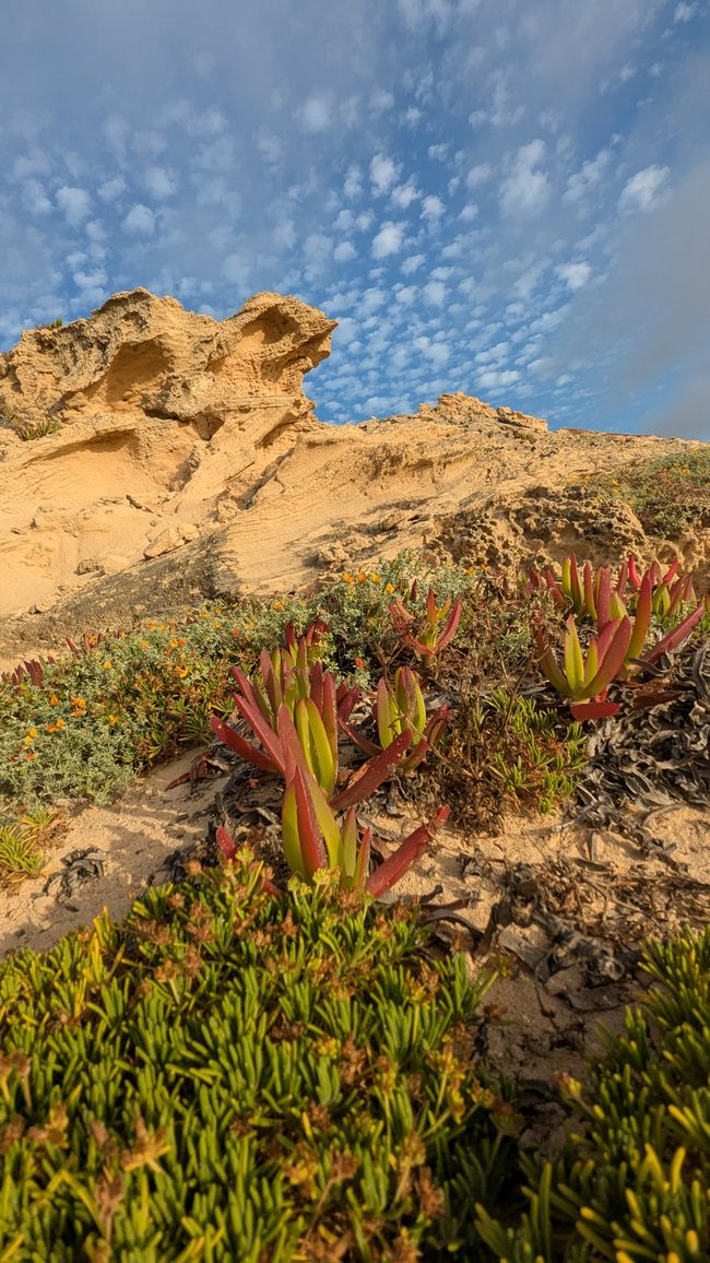 Tag 2: Inseltour auf Porto Santo