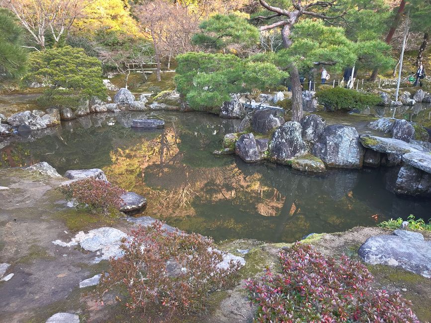 Visite des temples à Kyoto