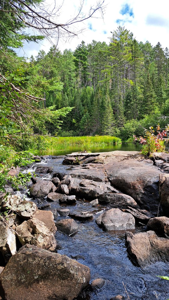 Parco Algonquin