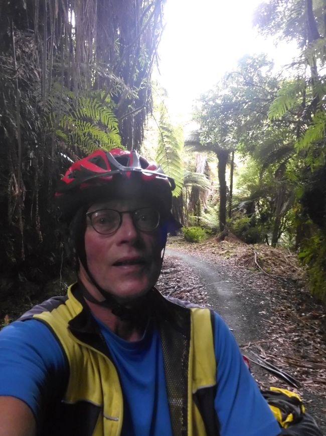 2025-03-29 Tongariro, Timber Trail und ...