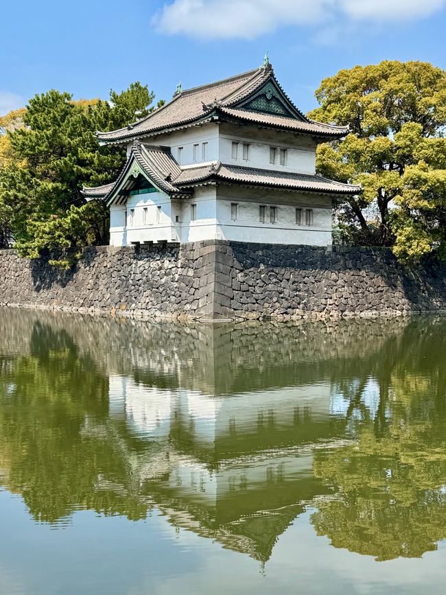 Parte 7
BENVENUTO IN GIAPPONE 🇯🇵
TOKYO