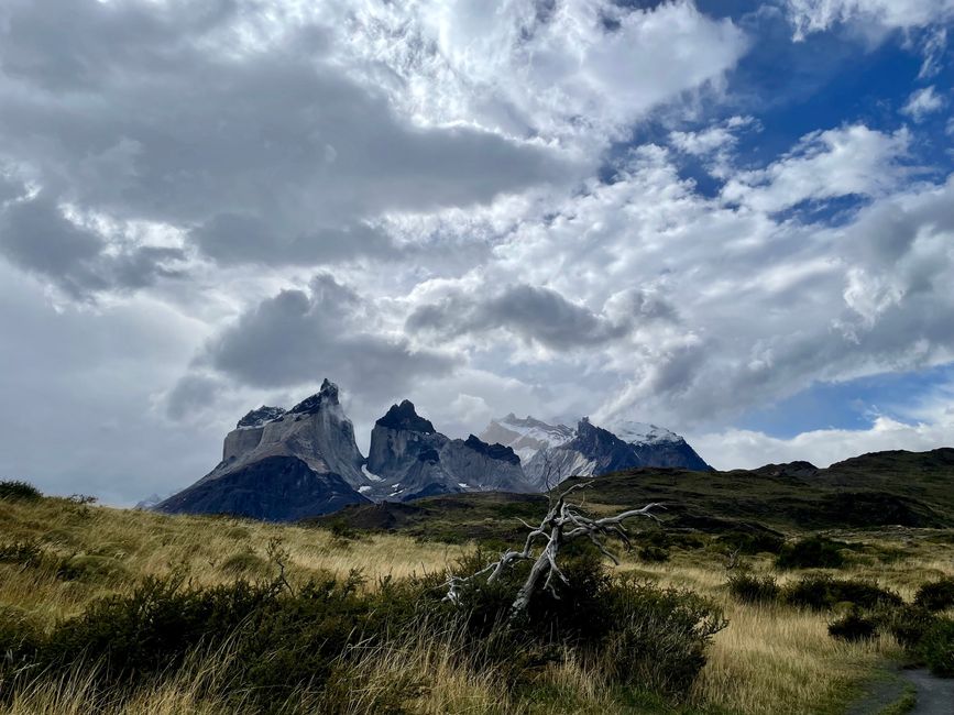 Torres del Paine
