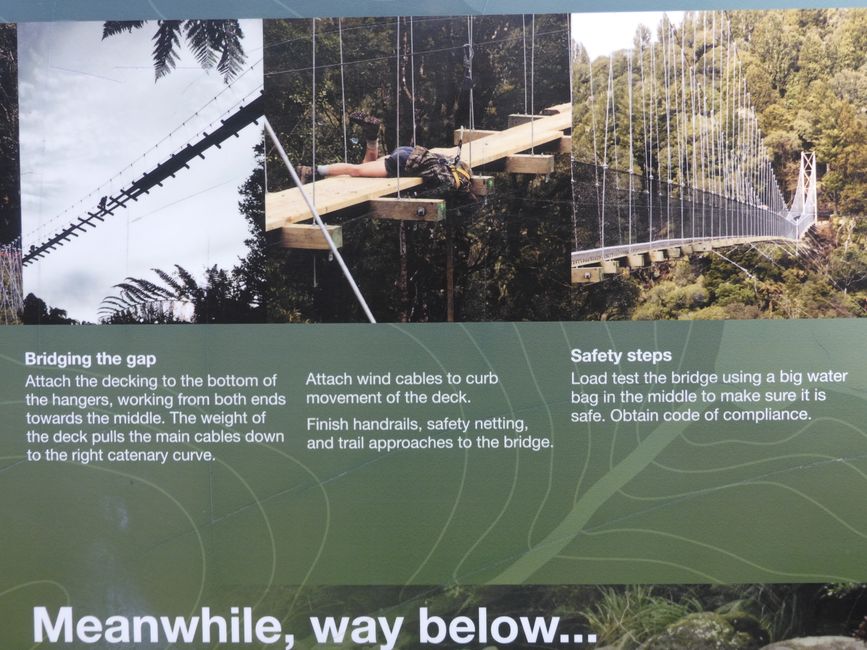 2025-03-29 Tongariro, Timber Trail und ...