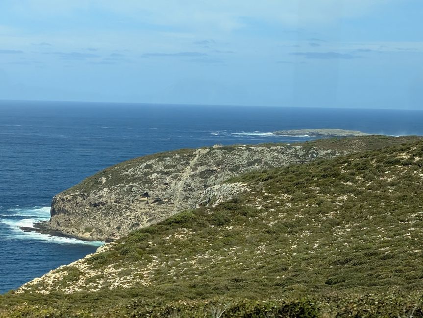 76.Etiqueta 21.3.25 Penneshaw Australia (Isla Canguro)