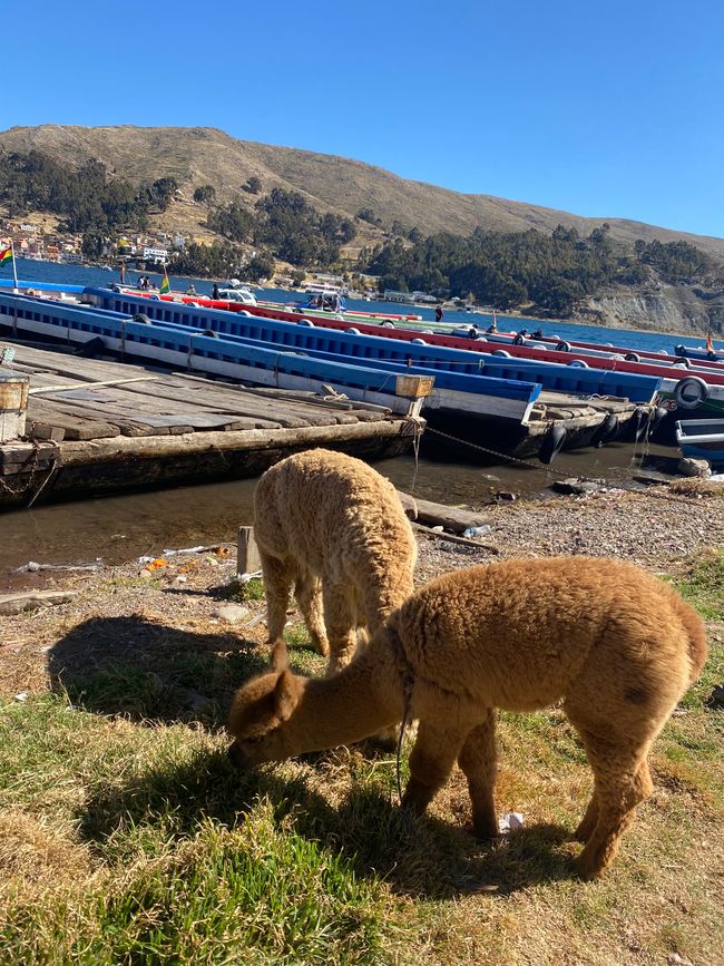 Viaje en autobús a lo largo del lago Titicaca