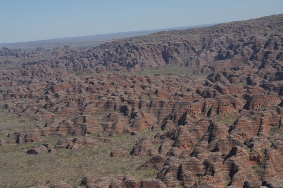 Bungles from above