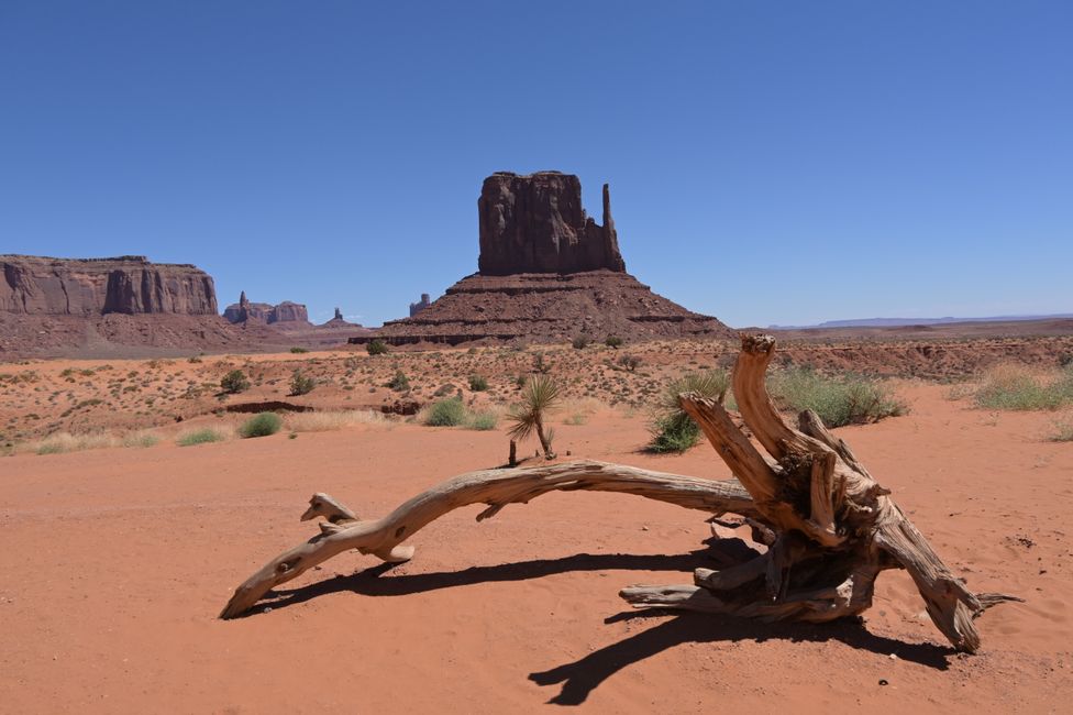 Monument Valley