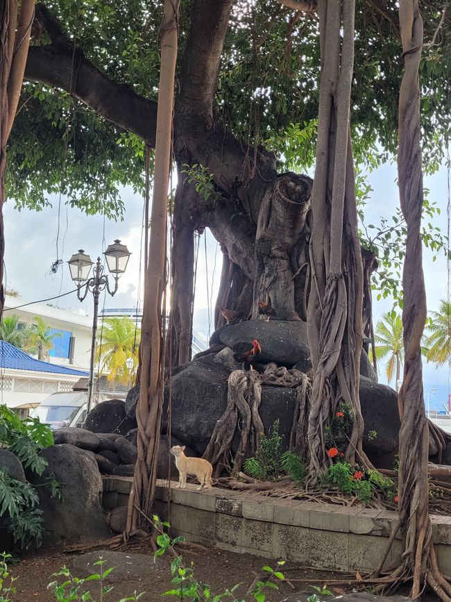 Día 63 y 64 de 175: Crucero alrededor del mundo - Papeete/Tahití