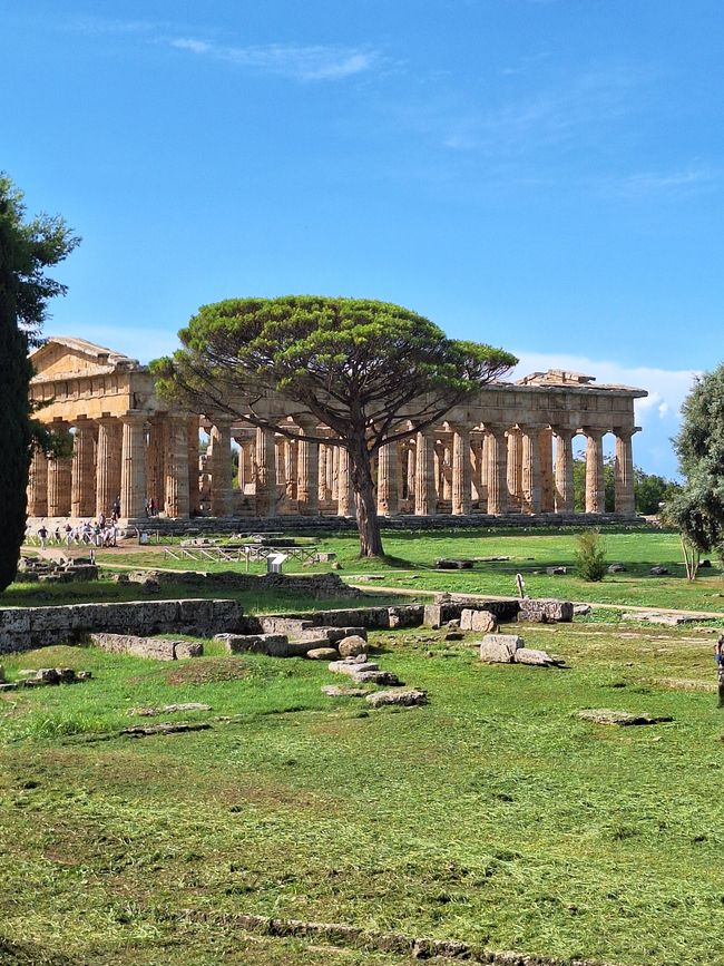 Sitio de la Unesco en Paestum