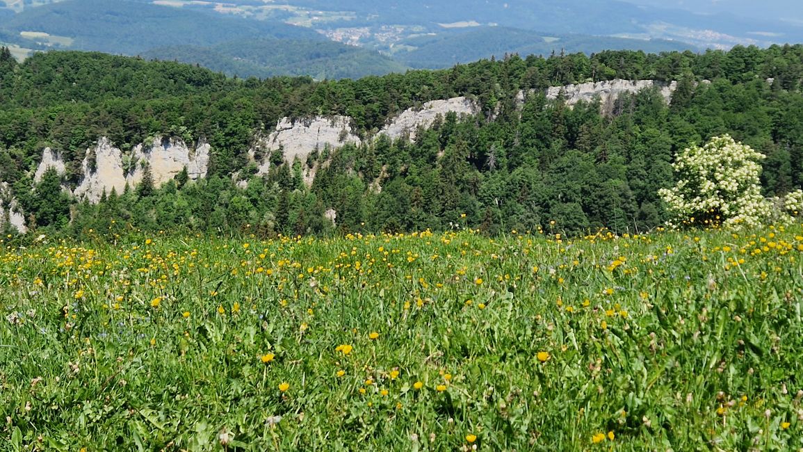 Uf der Holle, Hochwald 24. - 25. Mai 26