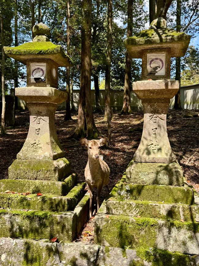 Part 8 Japan 🇯🇵 Kanazawa