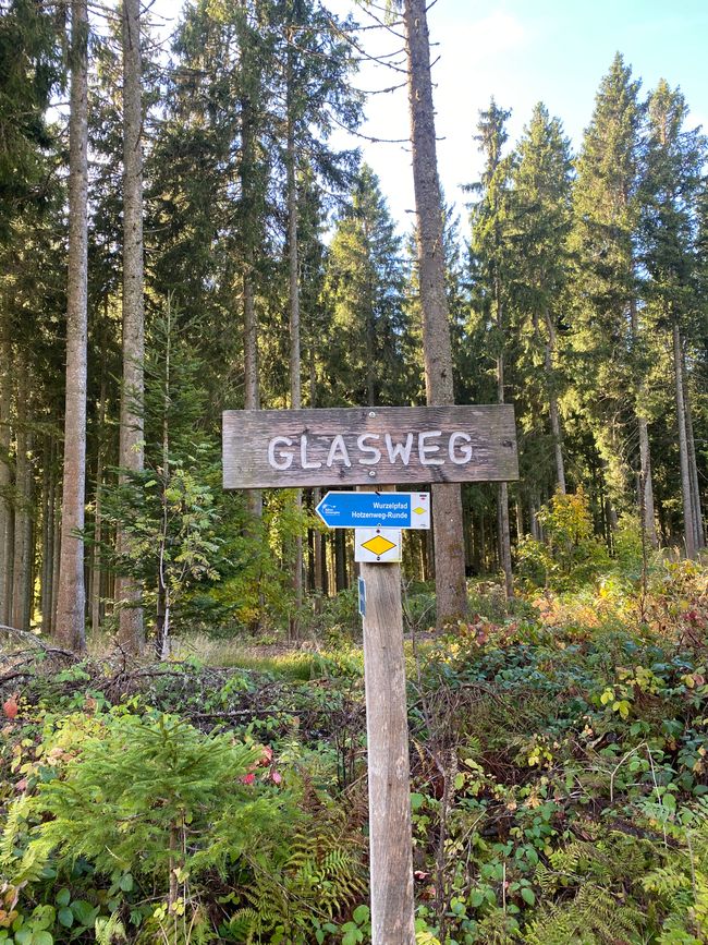 Mitten im Wald ein seltsamer Hinweis: wo ist denn das Glas?
