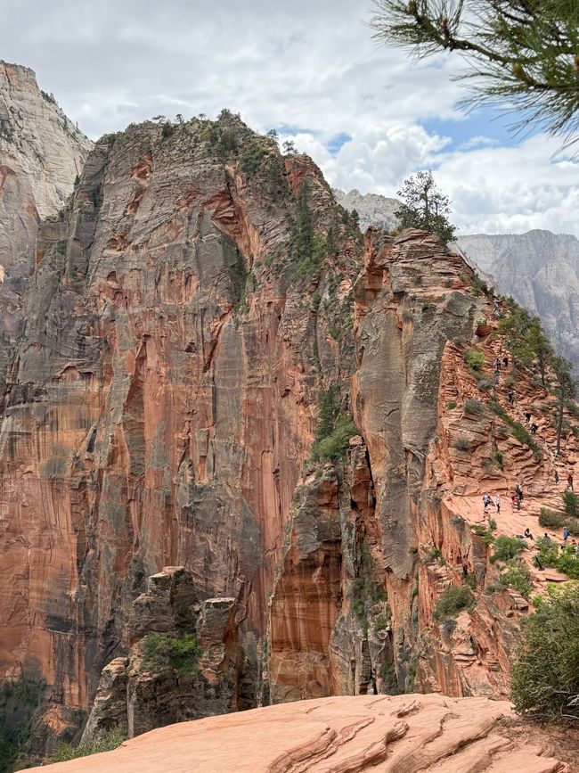 Blick hinüber zum Angel's Landing