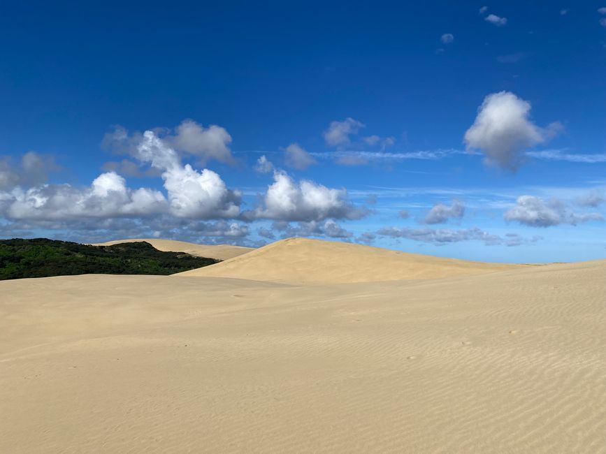 At the End of the World