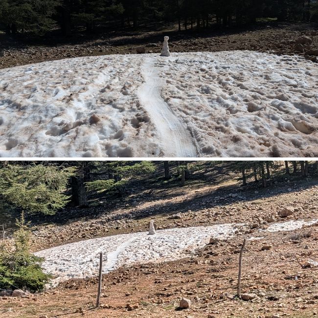 Camino a Ifrane y lago Daït Aoua seco
