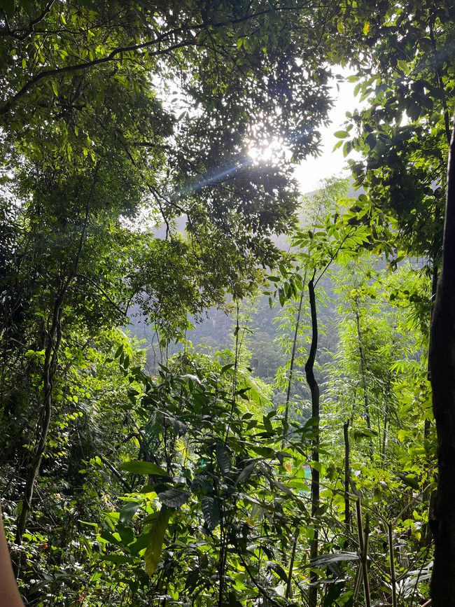 Khao Sok National Park