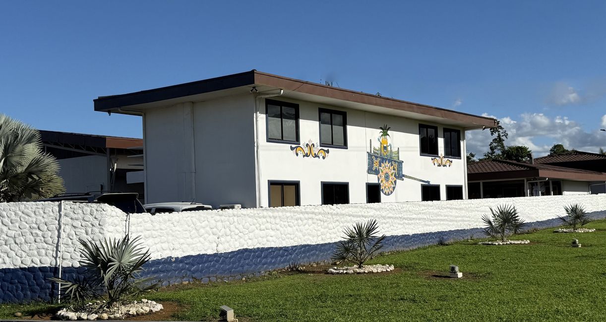 Piña Feliz