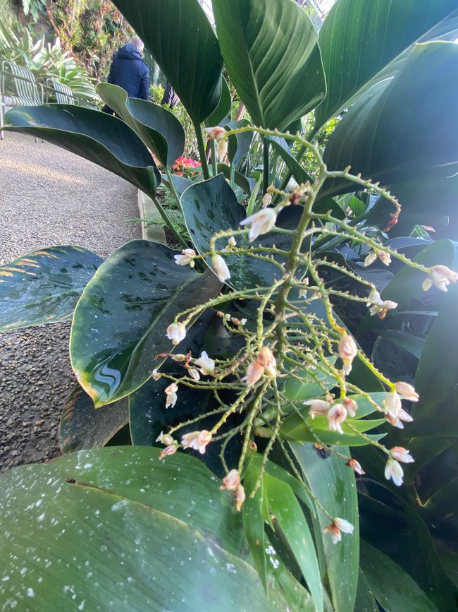 und doch noch nie in meinem Bewustsein angekommen sind. 