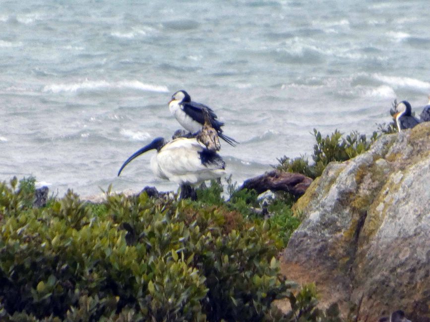 Wilsons-Promontory-Nationalpark