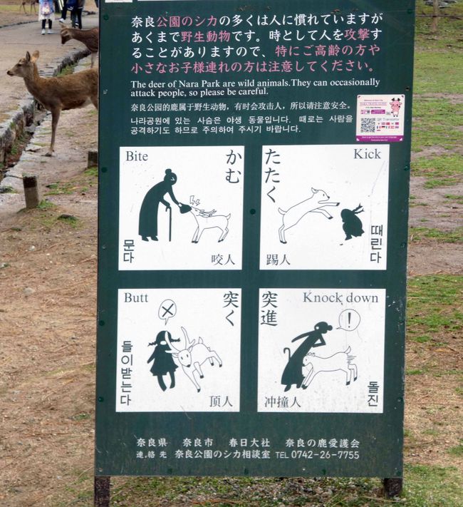 Kōbe and Nara, April 1, 2026