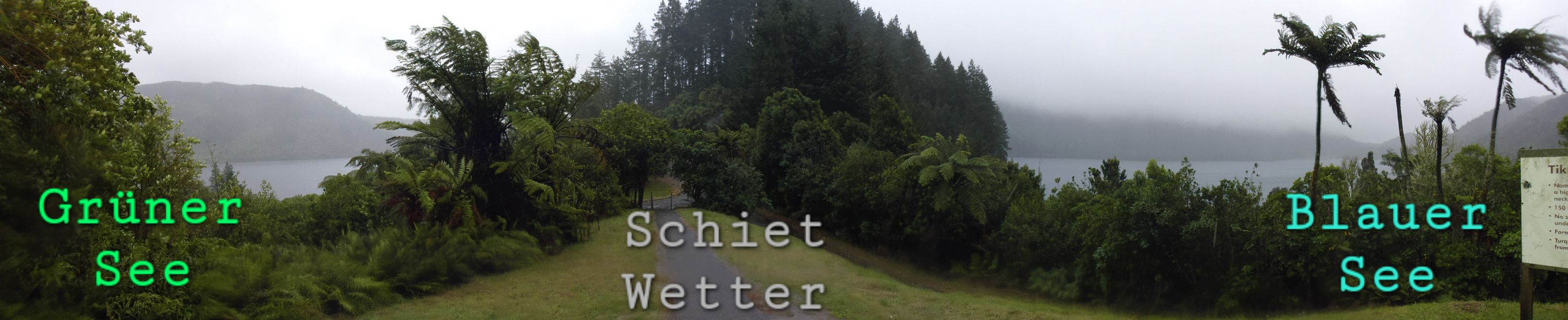 2025-03-29 Tongariro, Timber Trail und ...