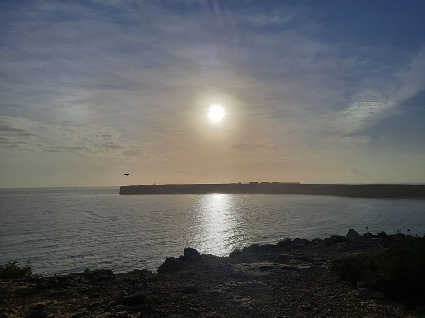 Surfing in Sagres